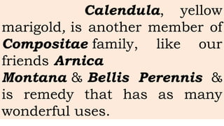 Calendula, yellow
marigold, is another member of
Compositae family, like our
friends Arnica
Montana & Bellis Perennis &
is remedy that has as many
wonderful uses.
 