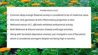 PHARMACOLOGY
• Common deep-orange flowered variety is considered to be of medicinal value.
• Anti-viral, Anti-genotoxic & Anti-inflammatory properties in vitro.
• Methanol extract of C. officinalis exhibited antibacterial activity.
• Both Methanol & Ethanol extracts showed antifungal activities.
• Along with horsetails (Equisetum arvense), pot marigold is one of few plants
which is considered astringent despite not being high in tannins.
 