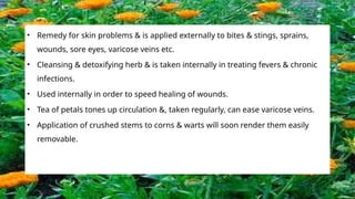 • Remedy for skin problems & is applied externally to bites & stings, sprains,
wounds, sore eyes, varicose veins etc.
• Cleansing & detoxifying herb & is taken internally in treating fevers & chronic
infections.
• Used internally in order to speed healing of wounds.
• Tea of petals tones up circulation &, taken regularly, can ease varicose veins.
• Application of crushed stems to corns & warts will soon render them easily
removable.
 