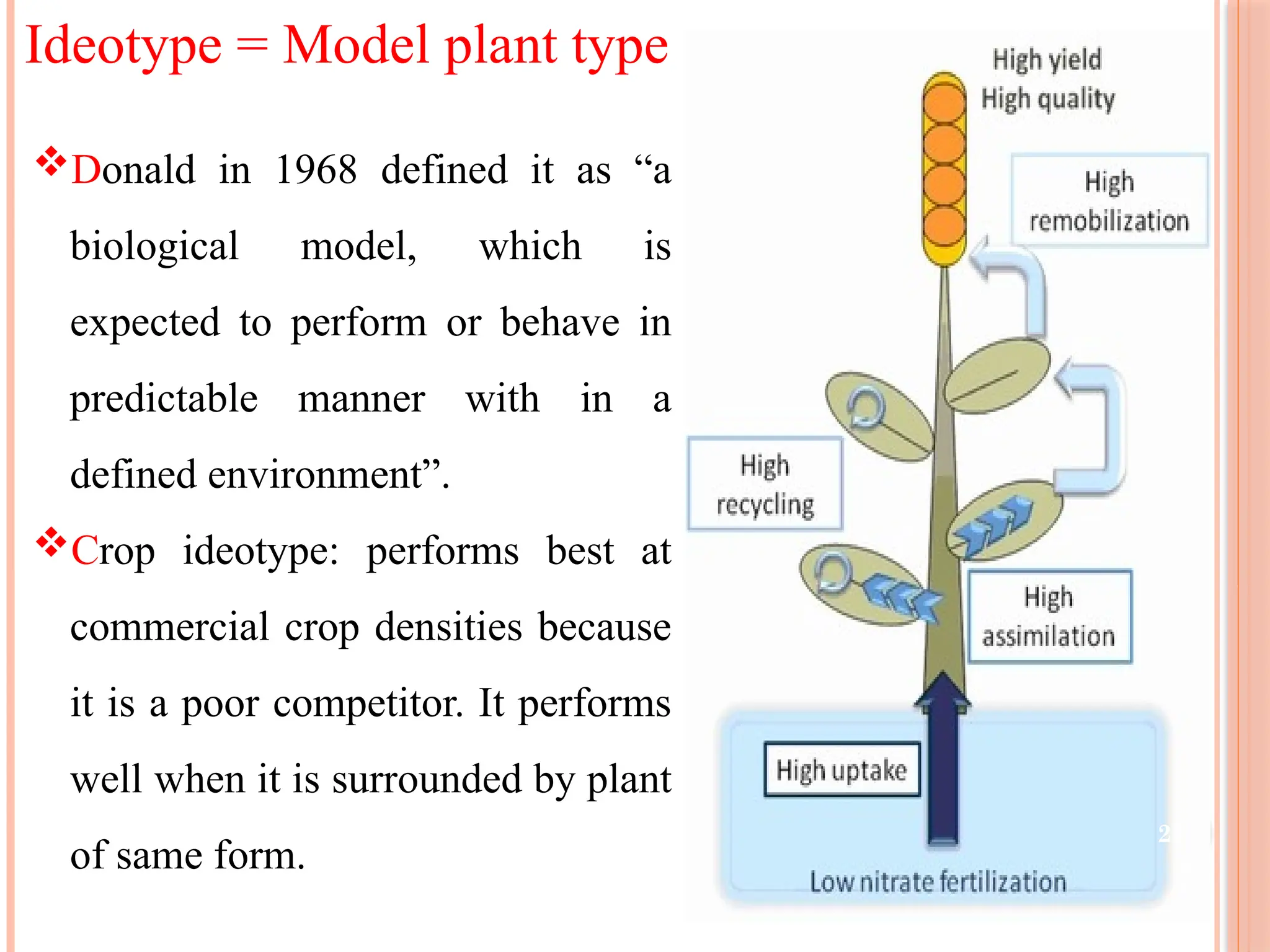 Ideotype = Model plant type
Donald in 1968 defined it as “a
biological model, which is
expected to perform or behave in
predictable manner with in a
defined environment”.
Crop ideotype: performs best at
commercial crop densities because
it is a poor competitor. It performs
well when it is surrounded by plant
of same form.
22
 