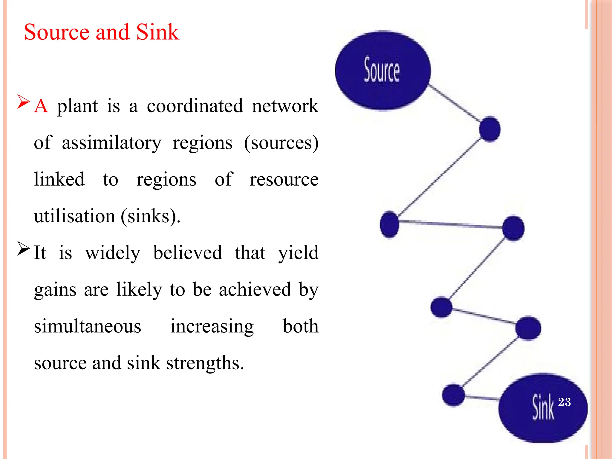 Source and Sink
A plant is a coordinated network
of assimilatory regions (sources)
linked to regions of resource
utilisation (sinks).
It is widely believed that yield
gains are likely to be achieved by
simultaneous increasing both
source and sink strengths.
23
 
