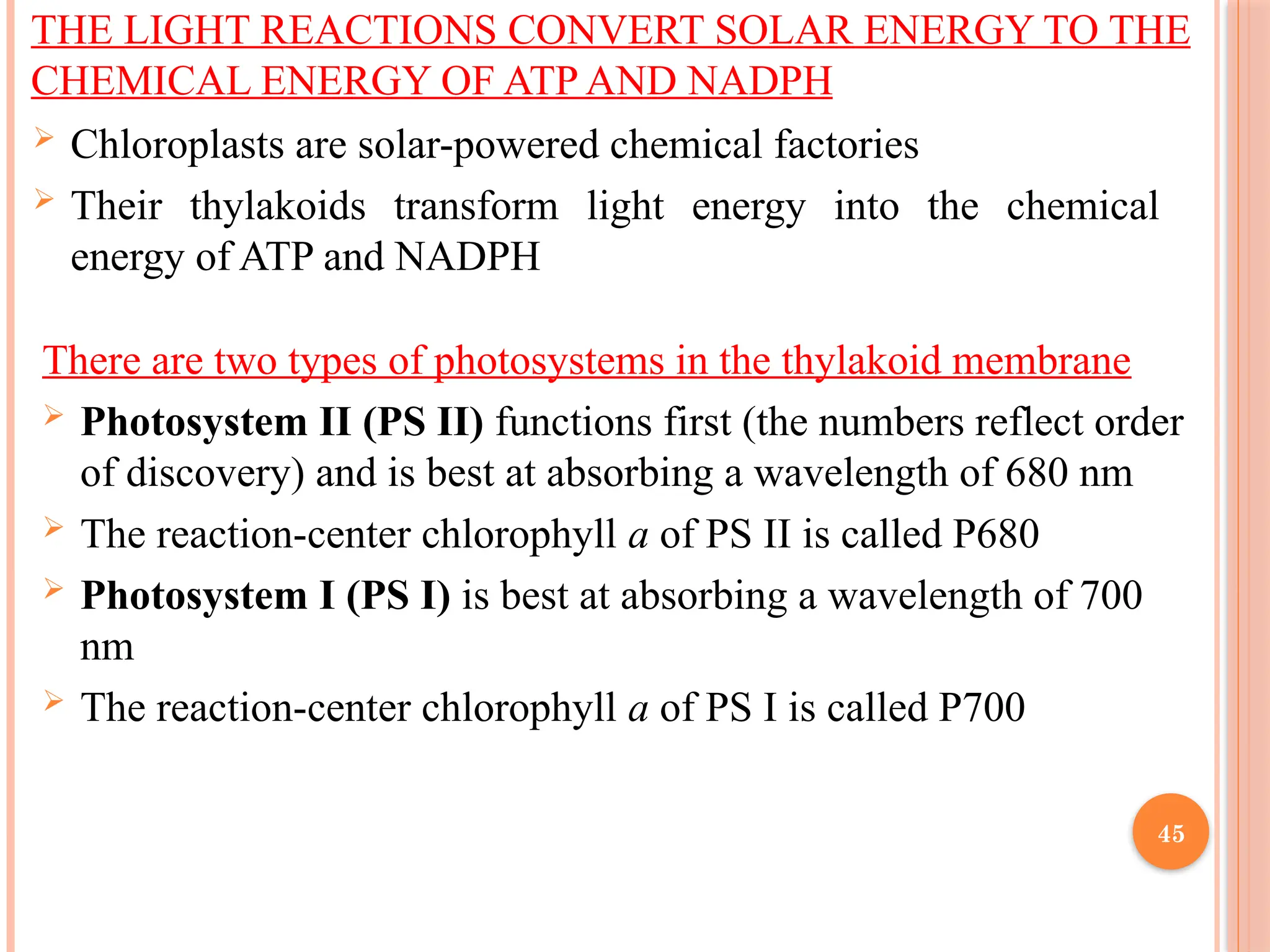 THE LIGHT REACTIONS CONVERT SOLAR ENERGY TO THE
CHEMICAL ENERGY OF ATP AND NADPH
 Chloroplasts are solar-powered chemical factories
 Their thylakoids transform light energy into the chemical
energy of ATP and NADPH
There are two types of photosystems in the thylakoid membrane
 Photosystem II (PS II) functions first (the numbers reflect order
of discovery) and is best at absorbing a wavelength of 680 nm
 The reaction-center chlorophyll a of PS II is called P680
 Photosystem I (PS I) is best at absorbing a wavelength of 700
nm
 The reaction-center chlorophyll a of PS I is called P700
45
 