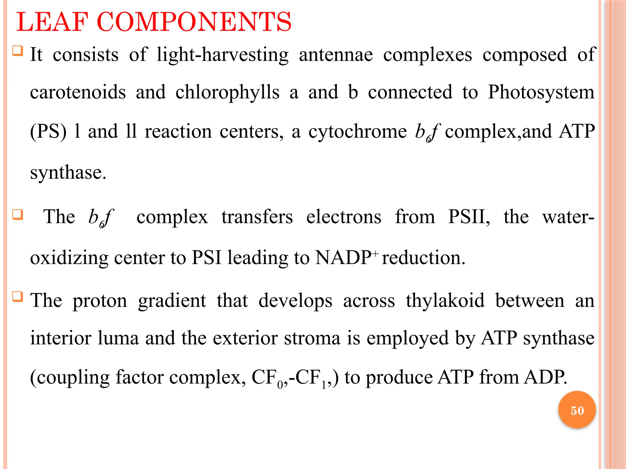 LEAF COMPONENTS
 It consists of light-harvesting antennae complexes composed of
carotenoids and chlorophylls a and b connected to Photosystem
(PS) l and ll reaction centers, a cytochrome b6f complex,and ATP
synthase.
 The b6f complex transfers electrons from PSII, the water-
oxidizing center to PSI leading to NADP+
reduction.
 The proton gradient that develops across thylakoid between an
interior luma and the exterior stroma is employed by ATP synthase
(coupling factor complex, CF0,-CF1,) to produce ATP from ADP.
50
 