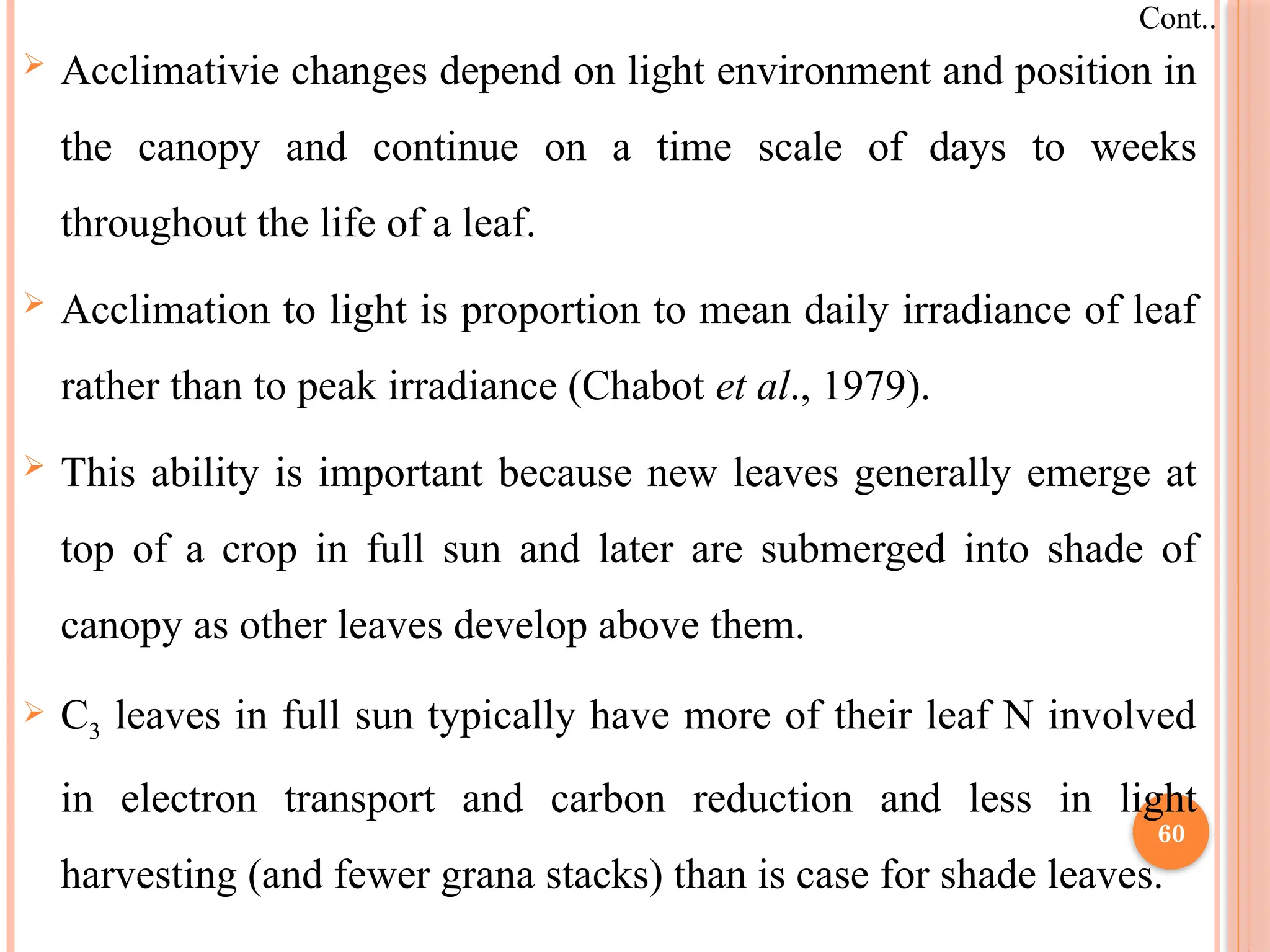  Acclimativie changes depend on light environment and position in
the canopy and continue on a time scale of days to weeks
throughout the life of a leaf.
 Acclimation to light is proportion to mean daily irradiance of leaf
rather than to peak irradiance (Chabot et al., 1979).
 This ability is important because new leaves generally emerge at
top of a crop in full sun and later are submerged into shade of
canopy as other leaves develop above them.
 C3 leaves in full sun typically have more of their leaf N involved
in electron transport and carbon reduction and less in light
harvesting (and fewer grana stacks) than is case for shade leaves.
Cont..
60
 
