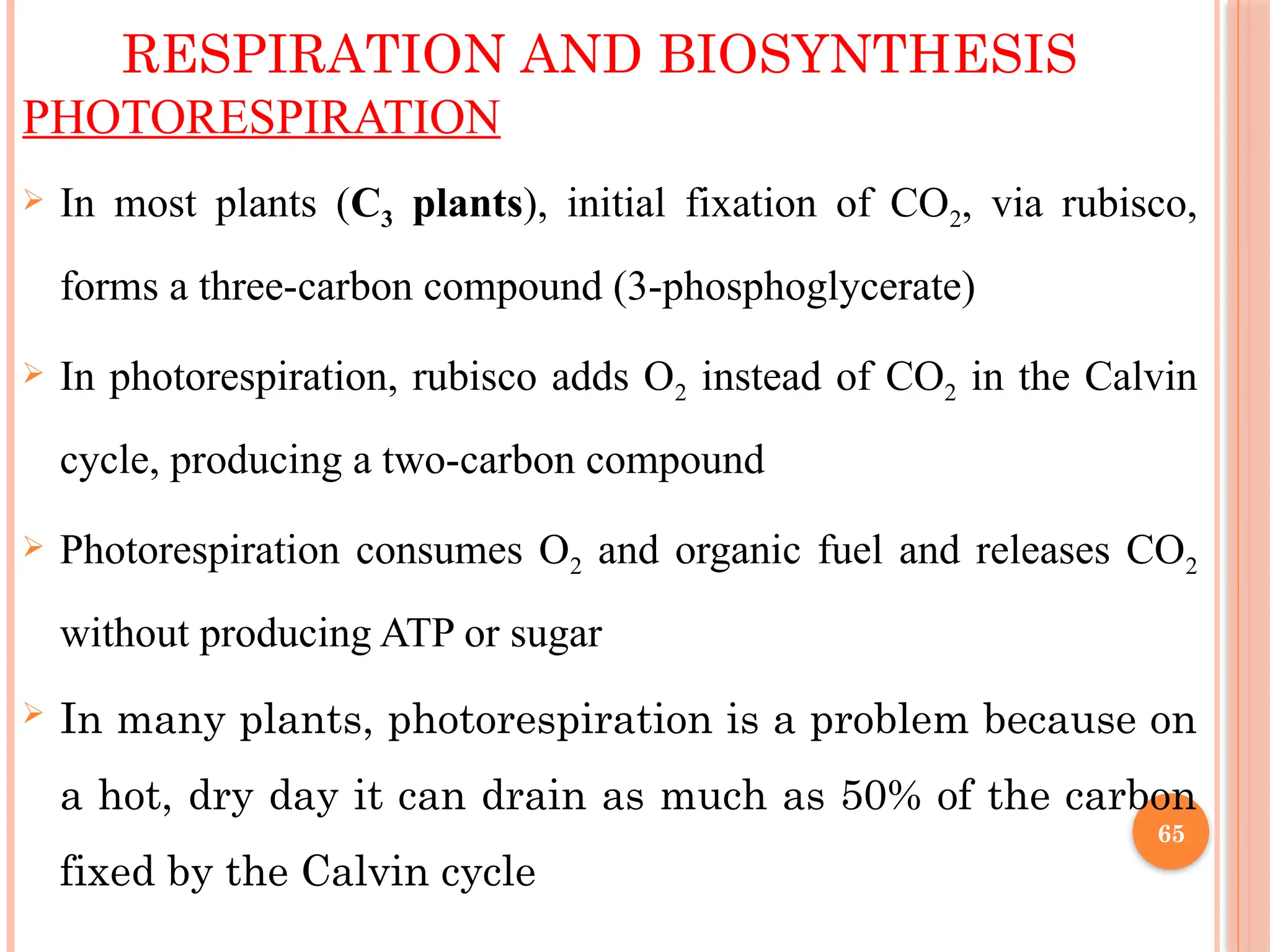 PHOTORESPIRATION
 In most plants (C3 plants), initial fixation of CO2, via rubisco,
forms a three-carbon compound (3-phosphoglycerate)
 In photorespiration, rubisco adds O2 instead of CO2 in the Calvin
cycle, producing a two-carbon compound
 Photorespiration consumes O2 and organic fuel and releases CO2
without producing ATP or sugar
 In many plants, photorespiration is a problem because on
a hot, dry day it can drain as much as 50% of the carbon
fixed by the Calvin cycle
RESPIRATION AND BIOSYNTHESIS
65
 