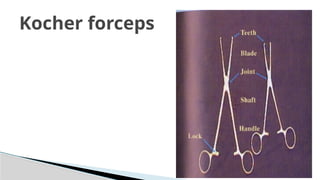 Kocher forceps
 