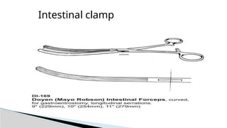 Intestinal clamp
 
