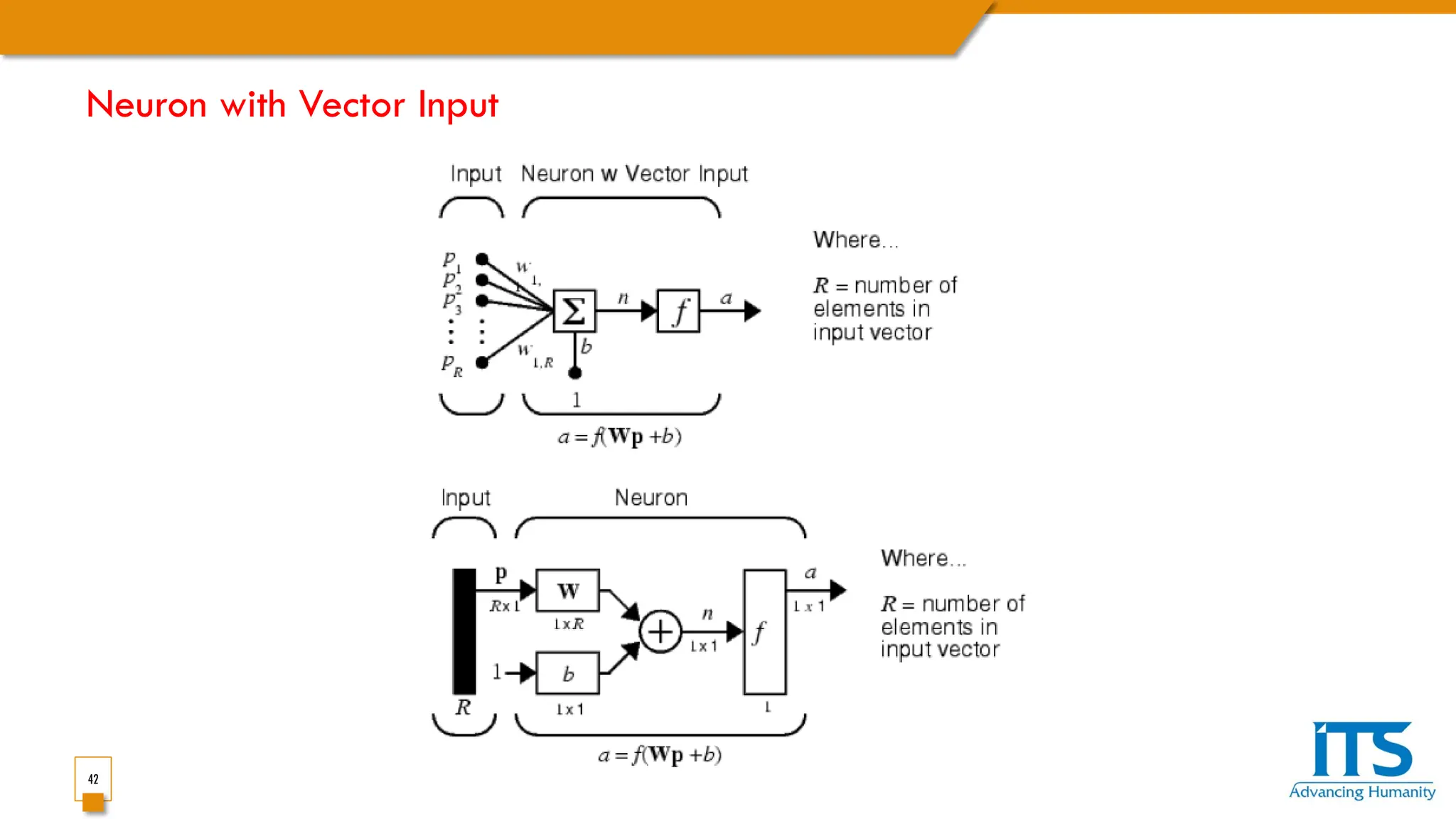 42
Neuron with Vector Input
 