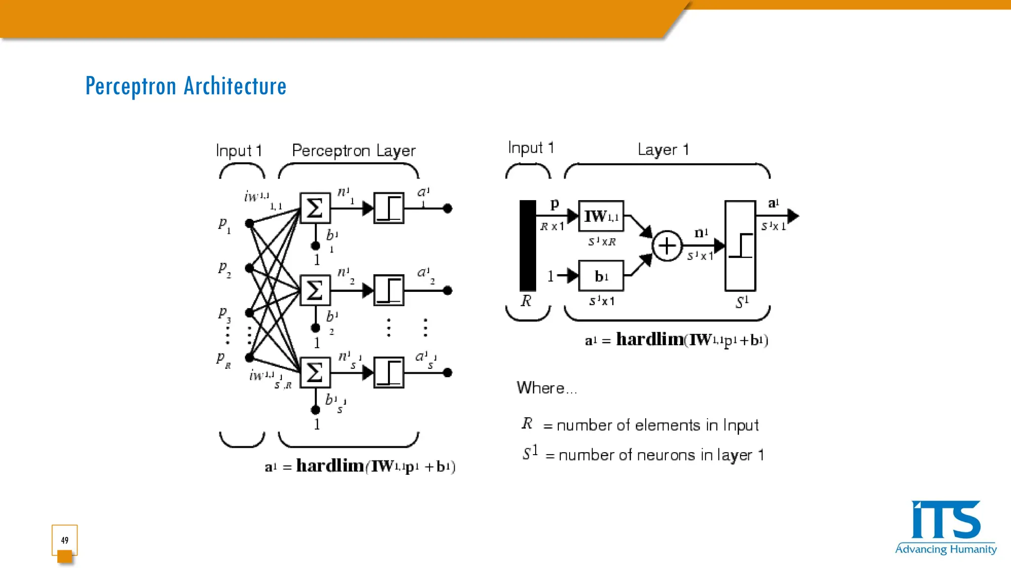 49
Perceptron Architecture
 