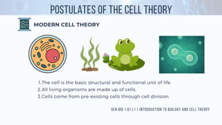 1.1 Intro to Biology and Cell Theory (3).pdf