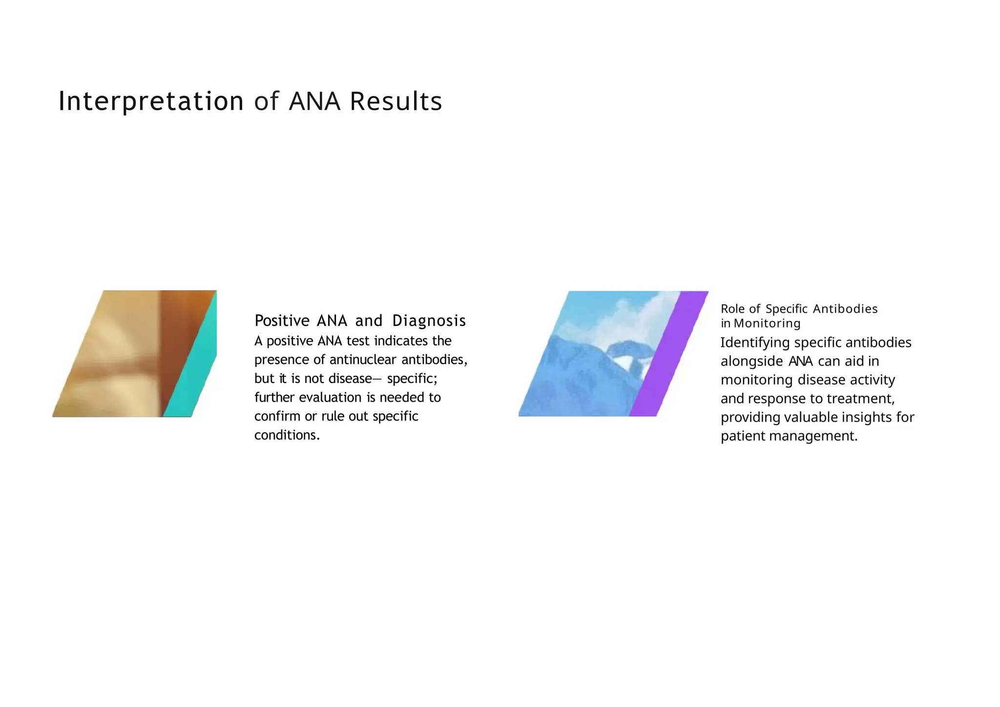 Interpretation of ANA Results
Positive ANA and Diagnosis
A positive ANA test indicates the
presence of antinuclear antibodies,
but it is not disease— specific;
further evaluation is needed to
confirm or rule out specific
conditions.
Role of Specific Antibodies
in Monitoring
Identifying specific antibodies
alongside ANA can aid in
monitoring disease activity
and response to treatment,
providing valuable insights for
patient management.
 