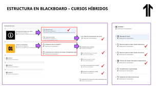 ESTRUCTURA EN BLACKBOARD – CURSOS HÍBRIDOS
 