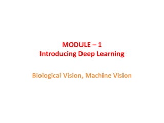 Biological Vision and Machine Vision in Deep Learning | PPTX