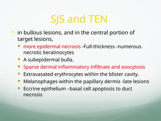 SJS and TEN
 in bullous lesions, and in the central portion of
target lesions,
 more epidermal necrosis -Full-thickness -numerous
necrotic keratinocytes
 A subepidermal bulla.
 Sparse dermal inflammatory infiltrate and exocytosis
 Extravasated erythrocytes within the blister cavity.
 Melanophages within the papillary dermis -late lesions
 Eccrine epithelium –basal cell apoptosis to duct
necrosis
 