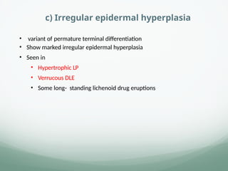 c) Irregular epidermal hyperplasia
• variant of permature terminal differentiation
• Show marked irregular epidermal hyperplasia
• Seen in
• Hypertrophic LP
• Verrucous DLE
• Some long- standing lichenoid drug eruptions
 
