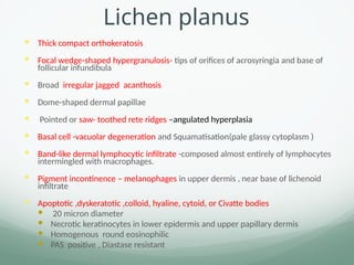 Lichen planus
 Thick compact orthokeratosis
 Focal wedge-shaped hypergranulosis- tips of orifices of acrosyringia and base of
follicular infundibula
 Broad irregular jagged acanthosis
 Dome-shaped dermal papillae
 Pointed or saw- toothed rete ridges –angulated hyperplasia
 Basal cell -vacuolar degeneration and Squamatisation(pale glassy cytoplasm )
 Band-like dermal lymphocytic infiltrate -composed almost entirely of lymphocytes
intermingled with macrophages.
 Pigment incontinence – melanophages in upper dermis , near base of lichenoid
infiltrate
 Apoptotic ,dyskeratotic ,colloid, hyaline, cytoid, or Civatte bodies
 20 micron diameter
 Necrotic keratinocytes in lower epidermis and upper papillary dermis
 Homogenous round eosinophilic
 PAS positive , Diastase resistant
 