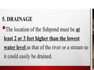 1. EPP-FISH RAISING.pptxforgrade6lessosns | PPTX
