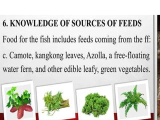 1. EPP-FISH RAISING.pptxforgrade6lessosns | PPTX