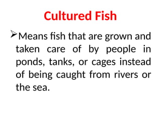 1. EPP-FISH RAISING.pptxforgrade6lessosns | PPTX