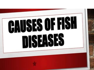 1. EPP-FISH RAISING.pptxforgrade6lessosns | PPTX