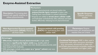1. Bacics of phytochemistry (Extraction techniques)-5th Sem.pptx
