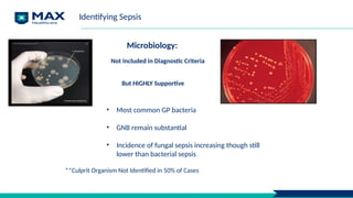 Microbiology:
Not Included in Diagnostic Criteria
But HIGHLY Supportive
**Culprit Organism Not Identified in 50% of Cases
• Most common GP bacteria
• GNB remain substantial
• Incidence of fungal sepsis increasing though still
lower than bacterial sepsis
Identifying Sepsis
 