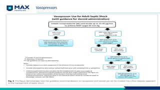 Vasopressors
 