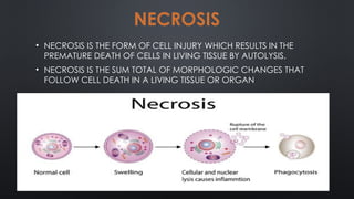 CELL DEATH presentation in oral pathology | PPTX