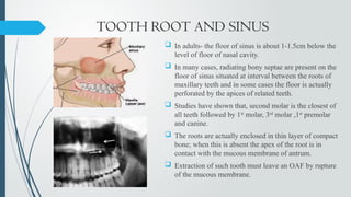 Maxillary sinus in periodontology .pptx