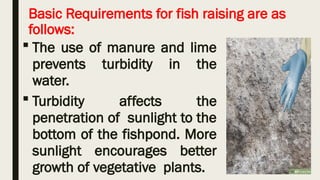 1. EPP6-Requirements in fish raising.pptx