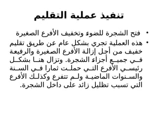 ‫التقليم‬ ‫عملية‬ ‫تنفيذ‬
•
‫الصغيرة‬ ‫األفرع‬ ‫وتخفيف‬ ‫للضوء‬ ‫الشجرة‬ ‫فتح‬
•
‫تقليم‬ ‫طريق‬ ‫عن‬ ‫عام‬ ‫بشكل‬ ‫تجري‬ ‫العملية‬ ‫هذه‬
‫والرفيعة‬ ‫الصغيرة‬ ‫األفرع‬ ‫إزالة‬ ‫أجل‬ ‫من‬ ‫خفيف‬
.
‫ل‬ ‫بشك‬ ‫ا‬ ‫هن‬ ‫وتزال‬ ‫الشجرة‬ ‫أجزاء‬ ‫ع‬ ‫جمي‬ ‫ي‬ ‫ف‬
‫نة‬ ‫الس‬ ‫ي‬ ‫ف‬ ‫ثمارا‬ ‫ت‬ ‫حمل‬ ‫ي‬ ‫الت‬ ‫األفرع‬ ‫ي‬ ‫رئيس‬
‫األفرع‬ ‫ك‬ ‫وكذل‬ ‫تتفرع‬ ‫م‬ ‫ول‬ ‫ة‬ ‫الماضي‬ ‫نوات‬ ‫والس‬
.‫الشجرة‬ ‫داخل‬ ‫على‬ ‫زائد‬ ‫تظليل‬ ‫تسبب‬ ‫التي‬
 