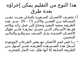 ‫إجراؤه‬ ‫يمكن‬ ‫التقليم‬ ‫من‬ ‫النوع‬ ‫هذا‬
‫طرق‬ ‫بعدة‬
)
‫ى‬ ‫تبق‬ ‫ث‬ ‫بحي‬ ‫بالتبادل‬ ‫غيرة‬ ‫الص‬ ‫ان‬ ‫األغص‬ ‫ف‬ ‫تخفي‬ ‫أ‬
‫ر‬ ‫واآلخ‬ ‫ن‬ ‫الغص‬ ‫ن‬ ‫بي‬ ‫افة‬ ‫المس‬
15
–
20
‫هذه‬ ‫م‬ ‫س‬
‫وتالءم‬ ‫د‬‫زائ‬ ‫عمل‬ ‫ى‬‫إل‬ ‫وتحتاج‬ ‫ذ‬‫التنفي‬ ‫عبة‬‫ص‬ ‫ة‬‫الطريق‬
‫طوال‬ ‫ى‬ ‫عل‬ ‫ا‬ ‫ثماره‬ ‫ل‬ ‫تحم‬ ‫ي‬ ‫الت‬ ‫ناف‬ ‫األص‬ ‫ط‬ ‫فق‬
‫ي‬ ‫والنبال‬ ‫و‬ ‫منزنيلل‬ ‫نف‬ ‫الص‬ ‫ل‬ ‫مث‬ ‫ة‬ ‫الحديث‬ ‫ان‬ ‫األغص‬
.‫المحسن‬
•
)
‫الموجودة‬ ‫التفرعات‬ ‫بعض‬ ‫مع‬ ‫األغصان‬ ‫قمم‬ ‫قص‬ ‫ب‬
,
‫ن‬ ‫م‬ ‫هل‬ ‫أس‬ ‫بر‬ ‫تعت‬ ‫ة‬ ‫الطريق‬ ‫هذه‬ ‫م‬ ‫القم‬ ‫هذه‬ ‫فل‬ ‫أس‬
.‫للشجرة‬ ‫الثمار‬ ‫عدد‬ ‫تقلل‬ ‫أنها‬ ‫إال‬ ‫السابقة‬ ‫الطريقة‬
 