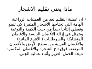 ‫االشجار‬ ‫تقليم‬ ‫يعني‬ ‫ماذا‬
•
‫الزراعية‬ ‫العمليات‬ ‫من‬ ‫تعد‬ ‫التقليم‬ ‫عملية‬ ‫ان‬
‫تنمو‬ ‫كي‬ ‫المثمرة‬ ‫األشجار‬ ‫تحتاجها‬ ‫التي‬ ‫الهامة‬
‫والنوعية‬ ‫الكمية‬ ‫حيث‬ ‫من‬ ‫جيدا‬ ‫إنتاجا‬ ‫وتعطي‬
‫واألغصان‬ ‫اليابسة‬ ‫األغصان‬ ‫إزالة‬ ‫في‬ ‫ويتمثل‬
) (
‫المائية‬ ‫األفرع‬ ‫والسرطانات‬ ‫المتشابكة‬
‫واألغصان‬ ‫األرض‬ ‫سطح‬ ‫من‬ ‫القريبة‬ ‫واألغصان‬
‫المكسرة‬ ‫واألغصان‬ ‫الشجرة‬ ‫تاج‬ ‫فوق‬ ‫المرتفعة‬
،‫الجني‬ ‫عملية‬ ‫وأثناء‬ ‫الغزير‬ ‫الحمل‬ ‫نتيجة‬
 