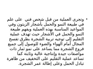 •
‫علم‬ ‫على‬ ‫فني‬ ‫شخص‬ ‫قبل‬ ‫من‬ ‫العملية‬ ‫وتجرى‬
‫وفي‬ ‫الزيتون‬ ‫بأشجار‬ ‫والحمل‬ ‫النمو‬ ‫طبيعة‬ ‫في‬
‫طبيعة‬ ‫ويفهم‬ ‫العملية‬ ‫بهذه‬ ‫المناسبة‬ ‫المواعيد‬
‫عملية‬ ‫تهدف‬ ‫حيث‬ ‫األشجار‬ ‫في‬ ‫والحمل‬ ‫النمو‬
‫تفسح‬ ‫بطرق‬ ‫الشجرة‬ ‫تربية‬ ‫توجيه‬ ‫إلى‬ ‫التقليم‬
‫جميع‬ ‫إلى‬ ‫للوصول‬ ‫والضوء‬ ‫الهواء‬ ‫أمام‬ ‫المجال‬
‫ذات‬ ‫ثمار‬ ‫نمو‬ ‫على‬ ‫يساعد‬ ‫مما‬ ‫الشجرة‬ ‫فروع‬
‫كما‬ ‫وثابتة‬ ‫عالية‬ ‫وإنتاجية‬ ‫جيدة‬ ‫مواصفات‬
‫ظاهرة‬ ‫من‬ ‫التخفيف‬ ‫على‬ ‫التقليم‬ ‫عملية‬ ‫تساعد‬
‫الشجرة‬ ‫عمر‬ ‫إطالة‬ ‫وعلى‬ ‫الحمل‬ ‫تبادل‬
.
 