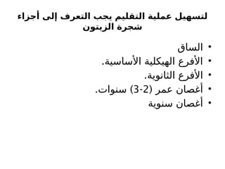 ‫أجزاء‬ ‫إلى‬ ‫التعرف‬ ‫يجب‬ ‫التقليم‬ ‫عملية‬ ‫لتسهيل‬
‫الزيتون‬ ‫شجرة‬
•
‫الساق‬
•
‫األساسية‬ ‫الهيكلية‬ ‫األفرع‬
.
•
.‫الثانوية‬ ‫األفرع‬
•
( ‫عمر‬ ‫أغصان‬
2
-
3
. )
‫سنوات‬
•
‫سنوية‬ ‫أغصان‬
 