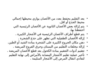 •
‫إجمالي‬ ‫محيطها‬ ‫يوازي‬ ‫األغصان‬ ‫من‬ ‫بعدد‬ ‫يحتفظ‬ ‫التقليم‬ ‫بعد‬
.‫اقل‬ ‫أو‬ ‫الجذع‬ ‫محيط‬
•
‫التي‬ ‫الرئيسية‬ ‫األغصان‬ ‫عن‬ ‫الثانوية‬ ‫األغصان‬ ‫بعض‬ ‫إزالة‬ ‫يتم‬
.‫بها‬ ‫احتفظنا‬
•
. ‫الكبيرة‬ ‫األشجار‬ ‫في‬ ‫الرئيسية‬ ‫األغصان‬ ‫أطراف‬ ‫قطع‬ ‫يتم‬
•
‫الشجرة‬ ‫جذع‬ ‫على‬ ‫تظهر‬ ‫التي‬ ‫الطفيلية‬ ‫األغصان‬ ‫إزالة‬
.
•
.‫الطين‬ ‫أو‬ ‫الشيد‬ ‫بمادة‬ ‫الشجرة‬ ‫على‬ ‫الكبيرة‬ ‫الجروح‬ ‫مكان‬ ‫دهن‬
•
. ‫المريضة‬ ‫الفروع‬ ‫وحرق‬ ‫البستان‬ ‫من‬ ‫التقليم‬ ‫مخلفات‬ ‫إزالة‬
•
. ‫المريضة‬ ‫األغصان‬ ‫قطع‬ ‫بعد‬ ‫الكحول‬ ‫بمادة‬ ‫التعقيم‬ ‫أدوات‬ ‫تعقيم‬
•
‫التقليم‬ ‫نهاية‬ ‫إلى‬ ‫باألمراض‬ ‫المصابة‬ ‫األشجار‬ ‫تقليم‬ ‫عملية‬ ‫تأخير‬
. ‫السليمة‬ ‫األشجار‬ ‫إلى‬ ‫المرض‬ ‫انتقال‬ ‫لتفادي‬
 