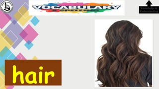 hair
Knowledge &
Understanding
 