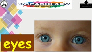 eyes
Knowledge &
Understanding
 