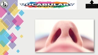 Knowledge &
Understanding
 