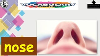 nose
Knowledge &
Understanding
 