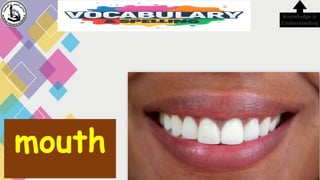 mouth
Knowledge &
Understanding
 