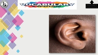 Knowledge &
Understanding
 