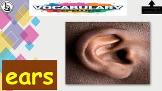 ears
Knowledge &
Understanding
 