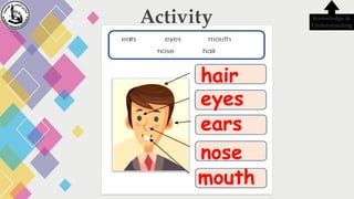 hair
eyes
Knowledge &
Understanding
ears
nose
mouth
Activity
 