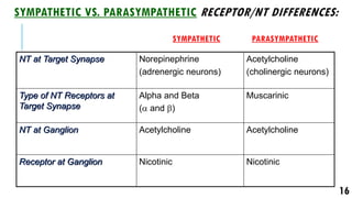 Sympathetic Reeptor 1. anatomy of Autonomic Nervous System...pdf