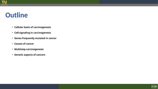 1. Molecular basis of cancer amal.ppt... | PPT