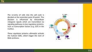 1. Molecular basis of cancer amal.ppt... | PPT