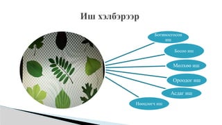 Иш хэлбэрээр
Богиносгосон
иш
Босоо иш
Мөлхөө иш
Ороодог иш
Асдаг иш
Нөөцлөгч иш
 