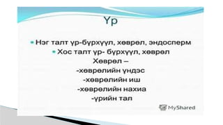 ургамал судлал лекц №1.pptx.............