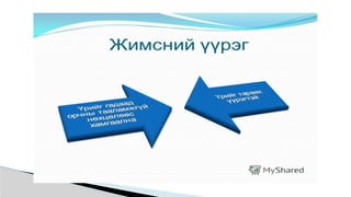 ургамал судлал лекц №1.pptx.............